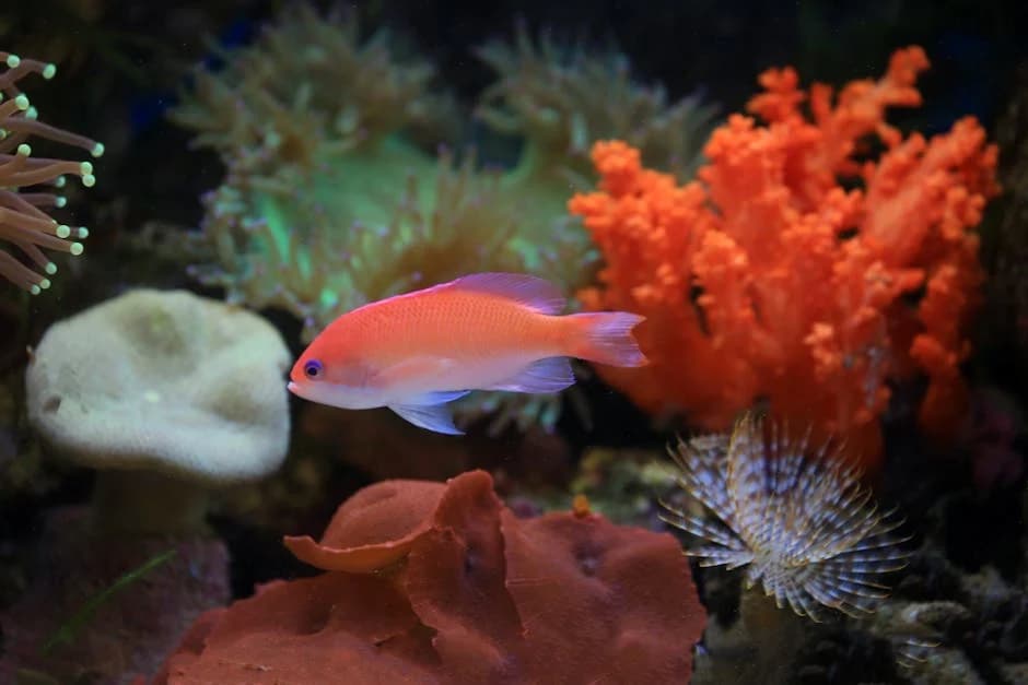 Unraveling the Secrets of Saltwater Fish Behavior