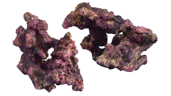 Ecoscape Reef Rock Mix D