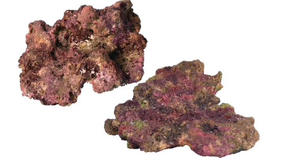 Ecoscape Reef Rock Mix F (Plating)