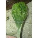 Shaving Brush - Group of 3 for the price of 2!