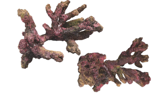 Ecoscape Reef Rock Mix E (branch Rock)