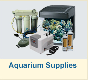 Aquarium Supplies