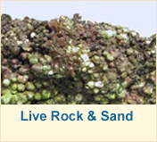 Live Rock & Sand