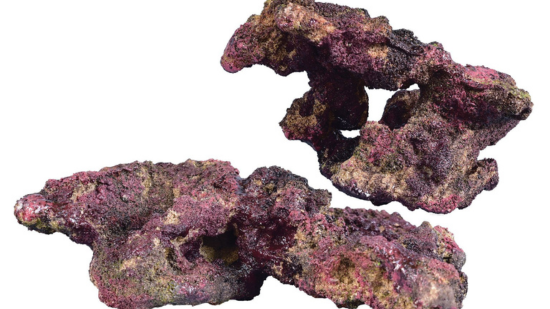 Ecoscape Reef Rock  Mix B